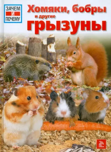 Сабина Штегхаус-Ковач - Зачем и почему. Хомяки, бобры и другие грызуны обложка книги