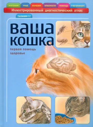 Георгий Галанин - Ваша кошка. Иллюстрированный диагностический атлас. Здоровье, первая помощь Георгий Галанин - Ваша кошка. Иллюстрированный диагностический атлас. Здоровье, первая помощь обложка книги