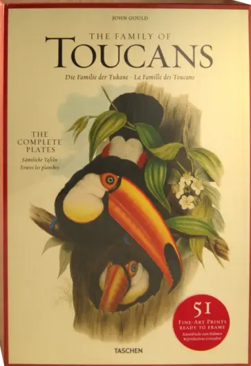 John Gould - Family of Toucans обложка книги