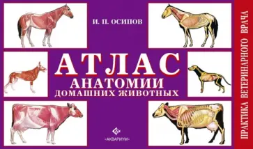 Иван Осипов - Атлас анатомии домашних животных обложка книги