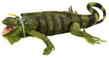 Взрослая игуана (267729) обложка книги