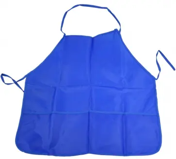 Фартук для труда (ФДТ-1/3) обложка книги