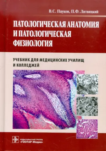 Пауков, Литвицкий - Патологическая анатомия и патологическая физиология. Учебник обложка книги