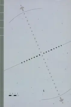 Полярная