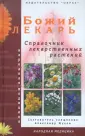 Священник Александр Жуков