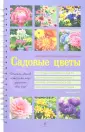 Подарочные издания.Книги на карточках