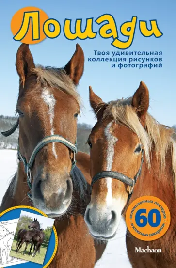 Эмма Сэл - Лошади Эмма Сэл - Лошади обложка книги