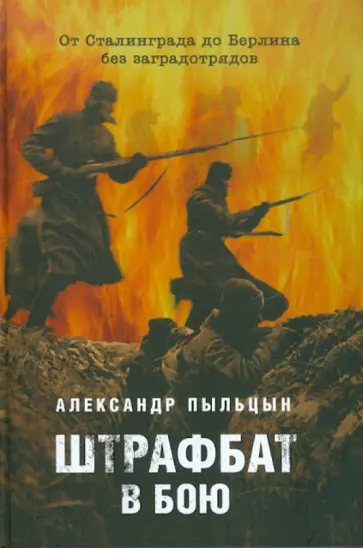 Александр Пыльцын - Штрафбат в бою. От Сталинграда до Берлина без заградотрядов обложка книги