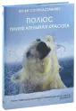 Никлен Пол