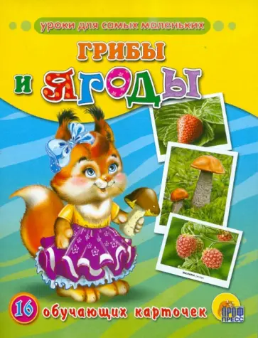 Грибы и ягоды. Обучающие карточки Грибы и ягоды. Обучающие карточки обложка книги