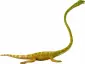Safari Ltd.