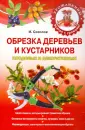 Соколов Илья Ильич