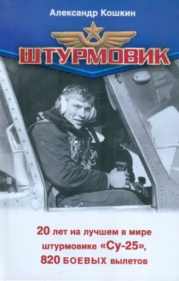 Кошкин, Зубарев - Штурмовик обложка книги