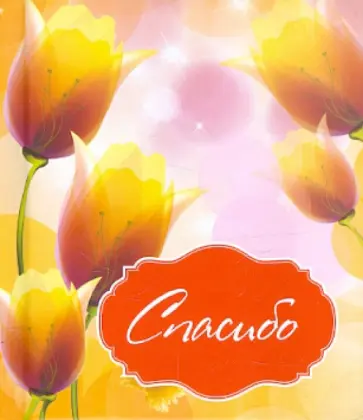 О. Епифанова - Спасибо обложка книги