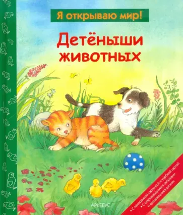 Детеныши животных обложка книги
