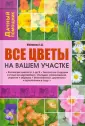 Майорова Елена Дмитриевна