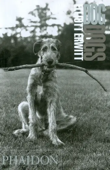 Elliott Erwitt - Dog Dogs обложка книги