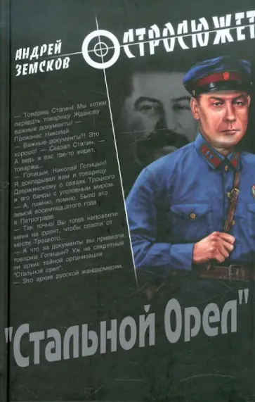 Андрей Земсков - "Стальной Орел" Андрей Земсков - "Стальной Орел" обложка книги