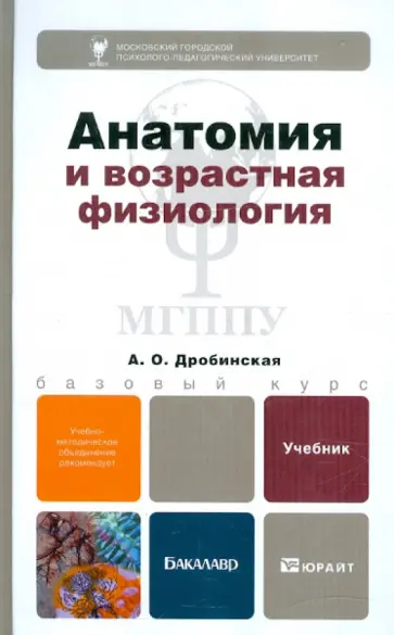 А.О. Дробинская - Анатомия и возрастная физиология. Учебник для бакалавров обложка книги