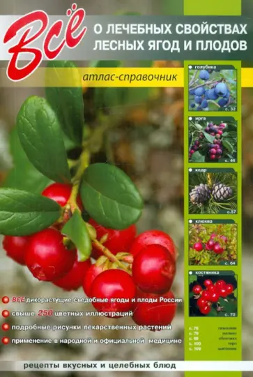 Сергей Афонькин - Все о лечебных свойствах лесных ягод и плодов Сергей Афонькин - Все о лечебных свойствах лесных ягод и плодов обложка книги