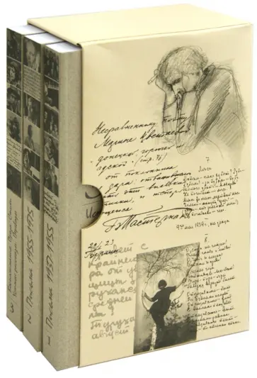 Ариадна Эфрон - История жизни, история души. В 3-х томах Ариадна Эфрон - История жизни, история души. В 3-х томах обложка книги