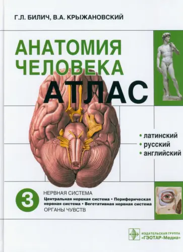 Билич, Крыжановский - Атлас анатомии человека. В 3-х томах. Том 3 Билич, Крыжановский - Атлас анатомии человека. В 3-х томах. Том 3 обложка книги