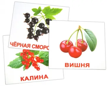 Носова, Епанова - Комплект карточек "Ягоды" (16,5х19,5 см) обложка книги