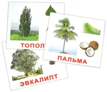 Носова, Епанова - Комплект карточек "Деревья" 16,5х19,5 см. обложка книги