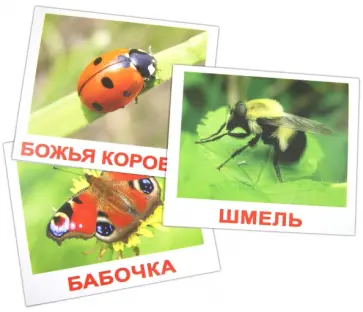 Носова, Епанова - Комплект карточек "Насекомые" (16,5х19,5 см) обложка книги
