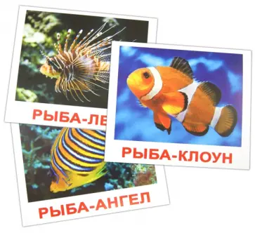 Носова, Епанова - Комплект карточек "Обитатели воды" (16,5х19,5 см) обложка книги