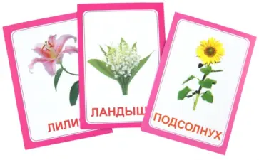 Логопедические карточки "Логопедка Л" обложка книги