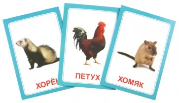 Логопедические карточки "Логопедка Щ+Х" обложка книги