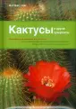 Улиг Маттиас