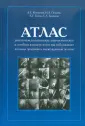 Бекбауов Саттар Ауесбекулы