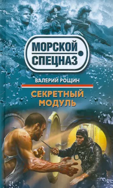 Валерий Рощин - Секретный модуль обложка книги