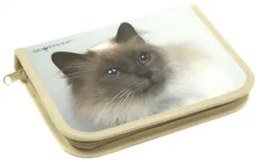 Пенал односекционный "Кошка" (850529) обложка книги