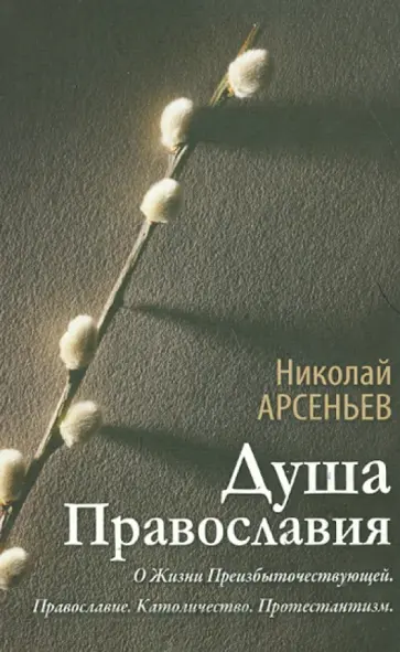 Душа Православия. О жизни преизбыточествующей. Православие Католичество Протестантизм Душа Православия. О жизни преизбыточествующей. Православие Католичество Протестантизм обложка книги