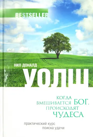 Нил Уолш - Когда вмешивается Бог, происходят чудеса. Практический курс поиска удачи. Нил Уолш - Когда вмешивается Бог, происходят чудеса. Практический курс поиска удачи. обложка книги