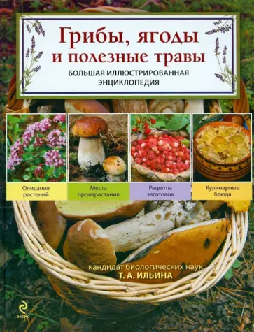 Татьяна Ильина - Грибы, ягоды и полезные травы Татьяна Ильина - Грибы, ягоды и полезные травы обложка книги