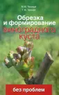 Темный Максим Михайлович