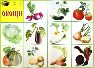Плакат "Овощи" (50х70 см) обложка книги