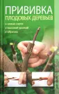 Летняя прививка плодовых деревьев: сроки и правила