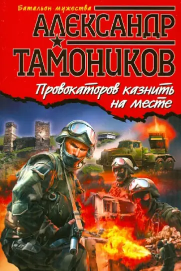 Александр Тамоников - Провокаторов казнить на месте обложка книги