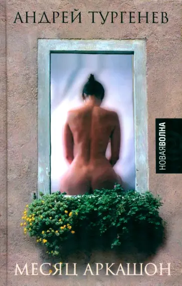 Андрей Тургенев - Месяц Аркашон Андрей Тургенев - Месяц Аркашон обложка книги