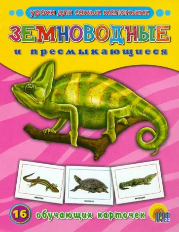 Земноводные и пресмыкающиеся Земноводные и пресмыкающиеся обложка книги