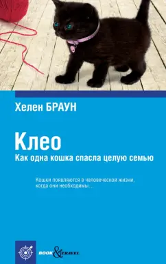 Котик целует экран