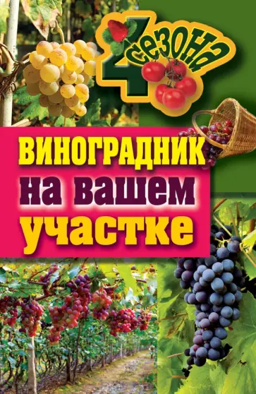 Екатерина Животовская - Виноградник на вашем участке Екатерина Животовская - Виноградник на вашем участке обложка книги