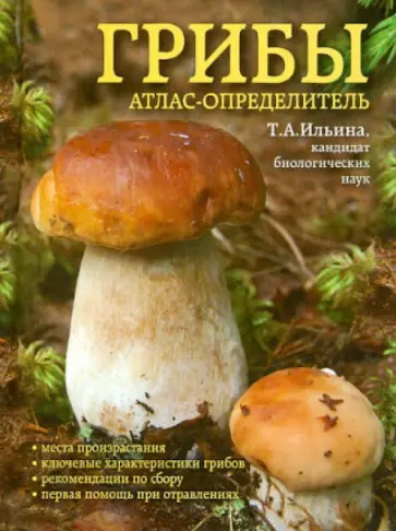 Татьяна Ильина - Грибы. Атлас-определитель Татьяна Ильина - Грибы. Атлас-определитель обложка книги