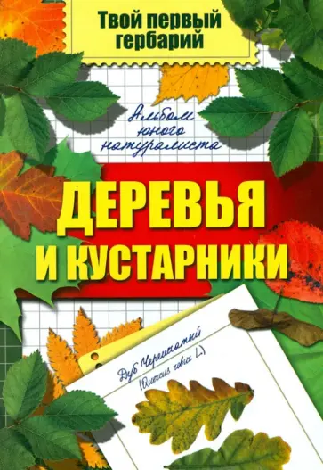 Сергей Шустов - Деревья и кустарники обложка книги