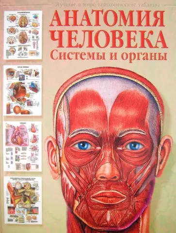 Анатомия человека. Системы и органы обложка книги